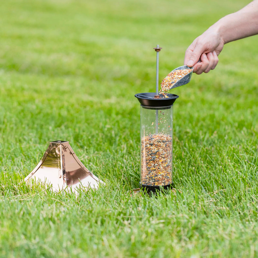 Good Directions feeder hanging in garden showing scale and inviting birds to dine benefit