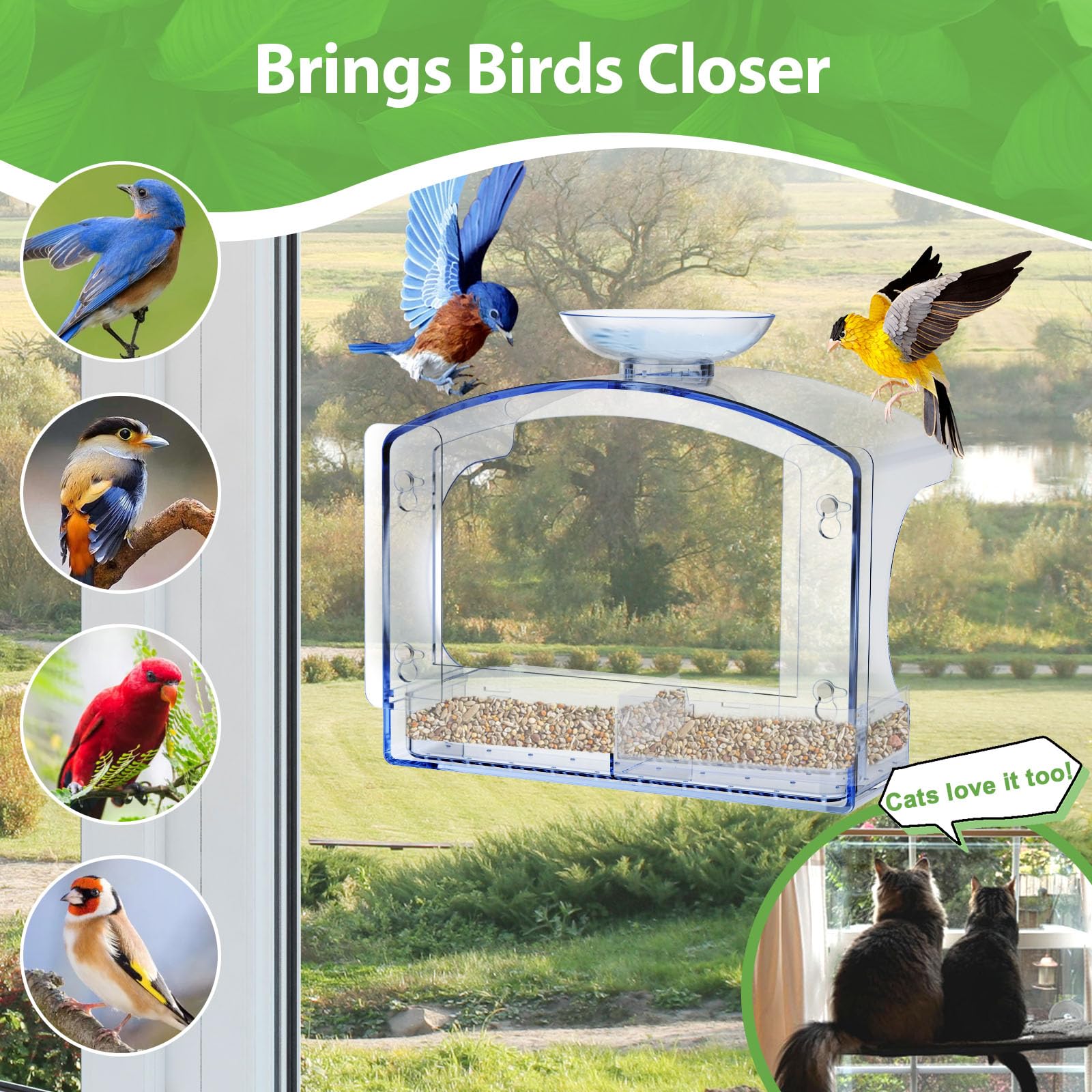 Goodeco birds feeding on clear platform benefit: attracts songbirds for close observation