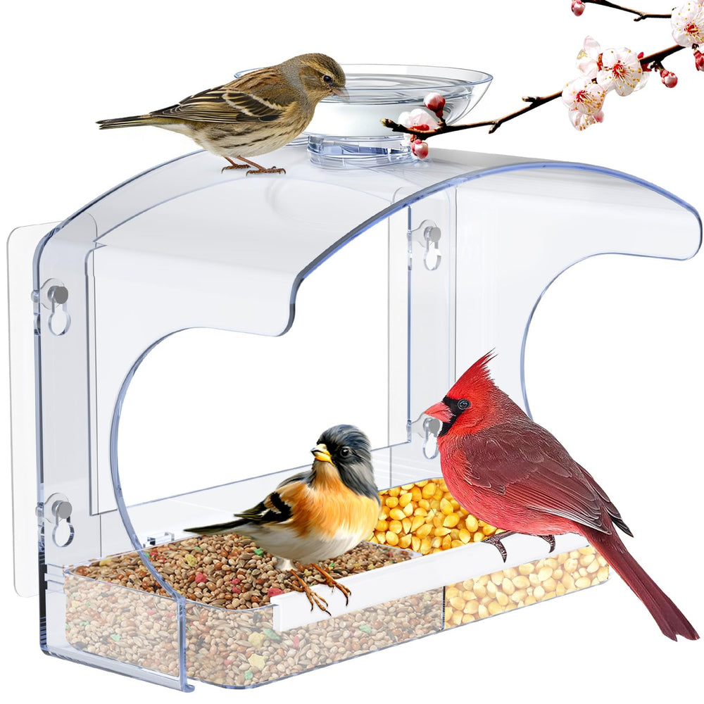 Goodeco front view of clear window feeder showing full seed reservoir and bowl benefit: easy bird viewing