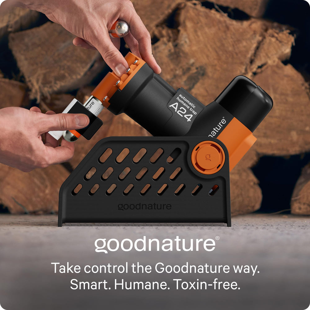 Goodnature A24 with trap stand and ruler showing compact, portable footprint