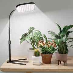 GooingTop front view of lamp clipped to desk lighting plants efficiently