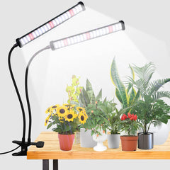 GooingTop front view of clip grow light showing bright head and clamp, great for compact spaces