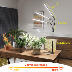 GooingTop flexible gooseneck adjustment offering precise directional lighting