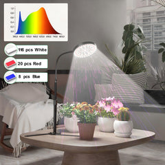 GooingTop height scale demonstration showing adjustable 10–32 inch range for pot sizes