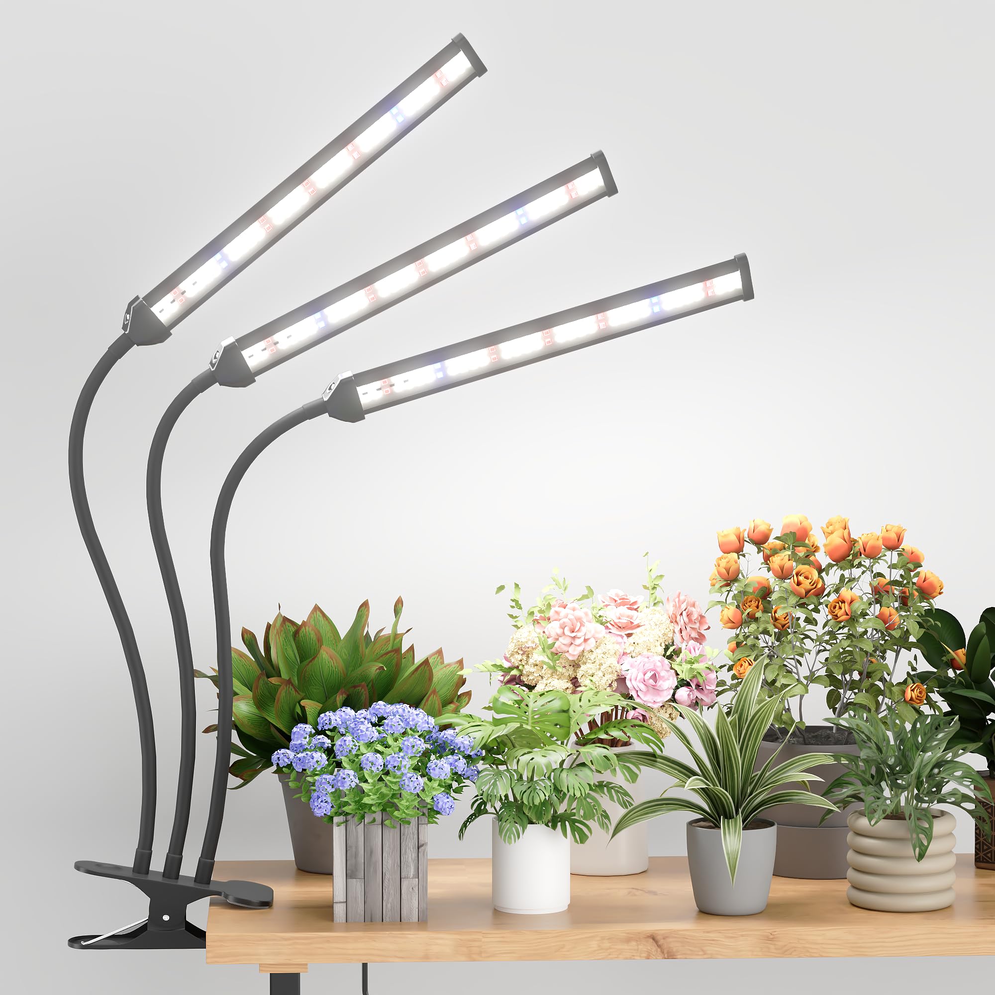 GooingTop lifestyle desk herb garden setup depicting healthy herbs under natural-feeling light