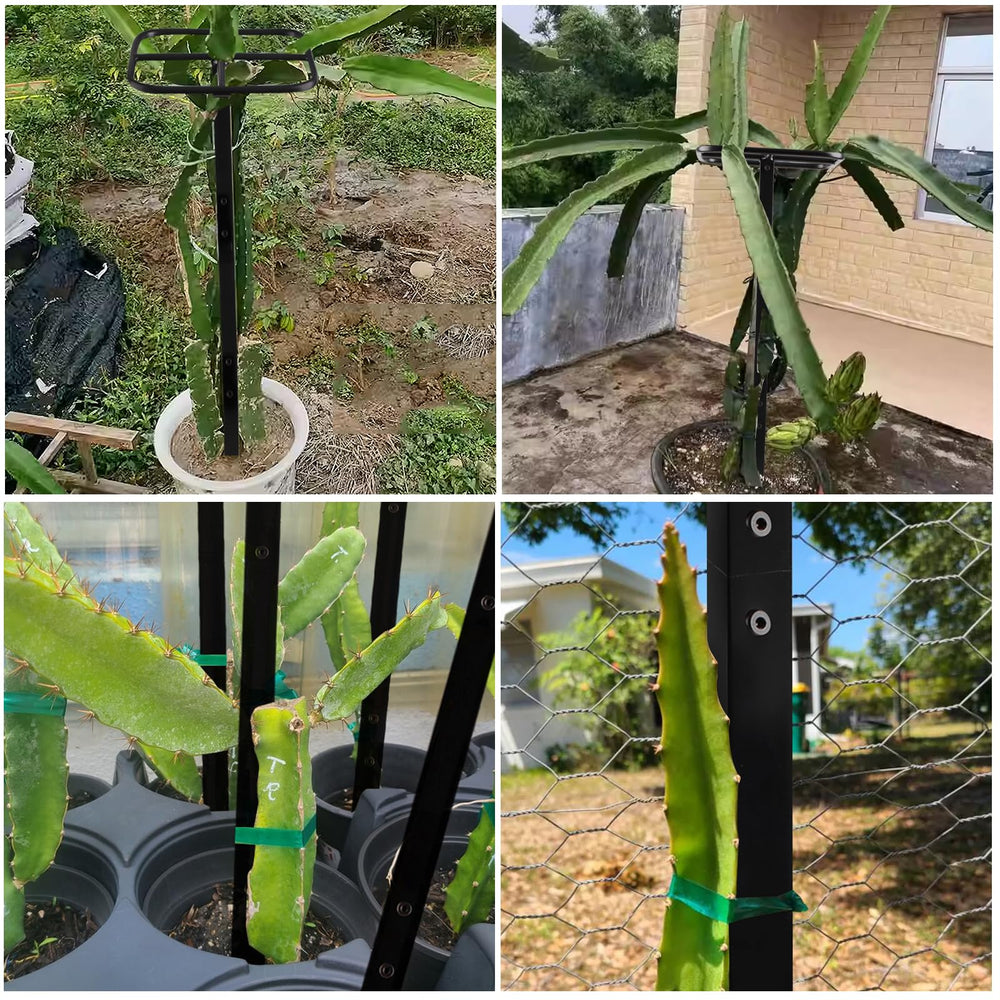 Goooxim base footprint installed in pot showing space-saving container fit