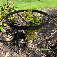 Goooxim front view of peony cage showing durable ring and stake for stable blooms