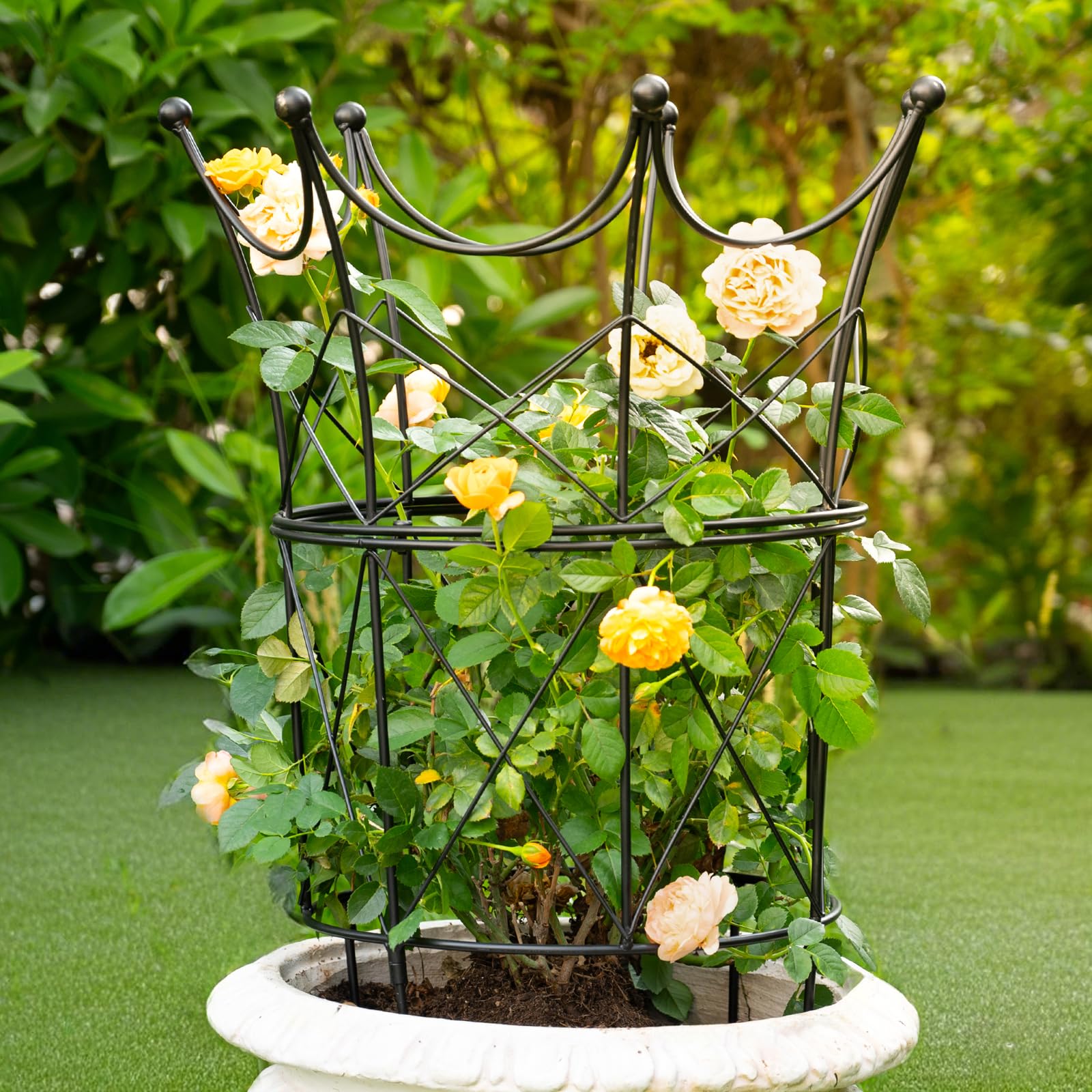 Goooxim front view of metal peony support showing stable frame and clean lines