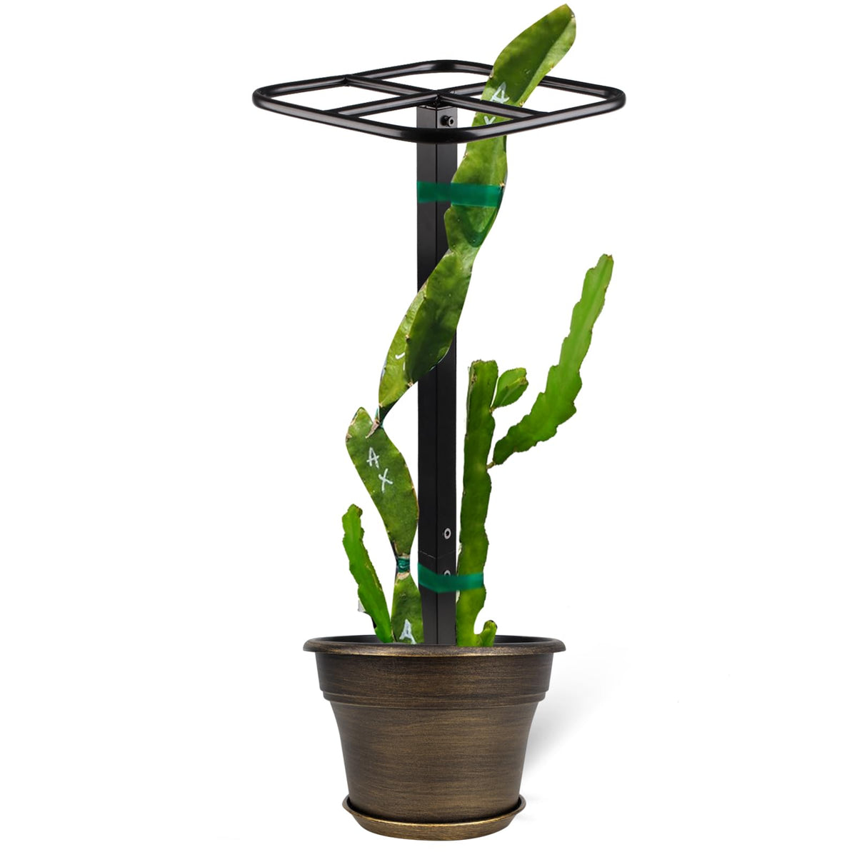 Goooxim front view trellis showing sturdy vertical support and compact base