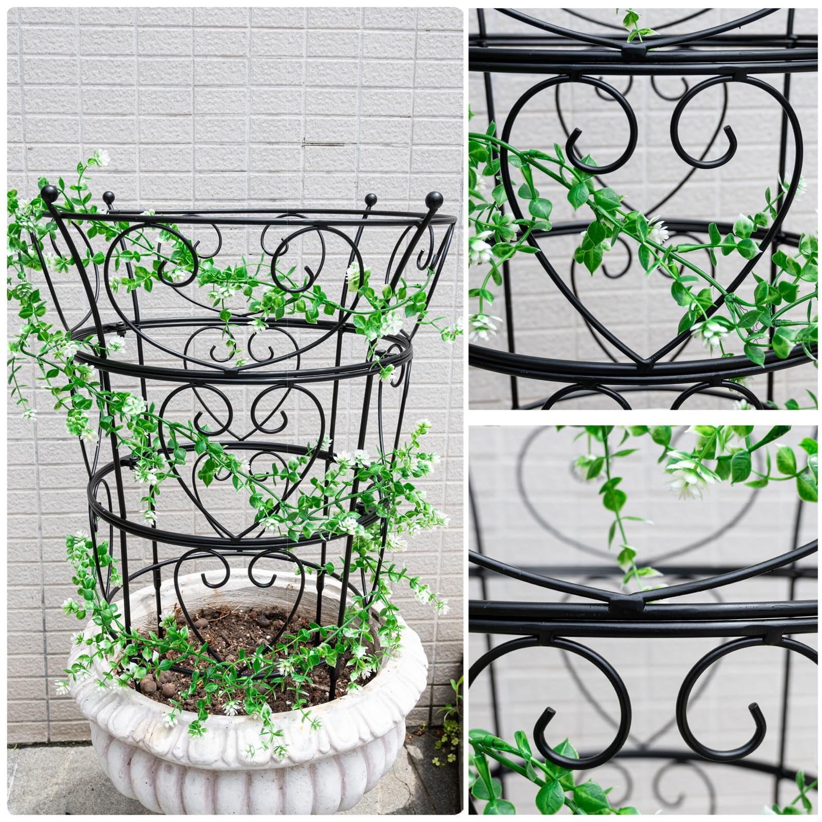 Goooxim trellis in garden holding heavy peony blooms upright and tidy