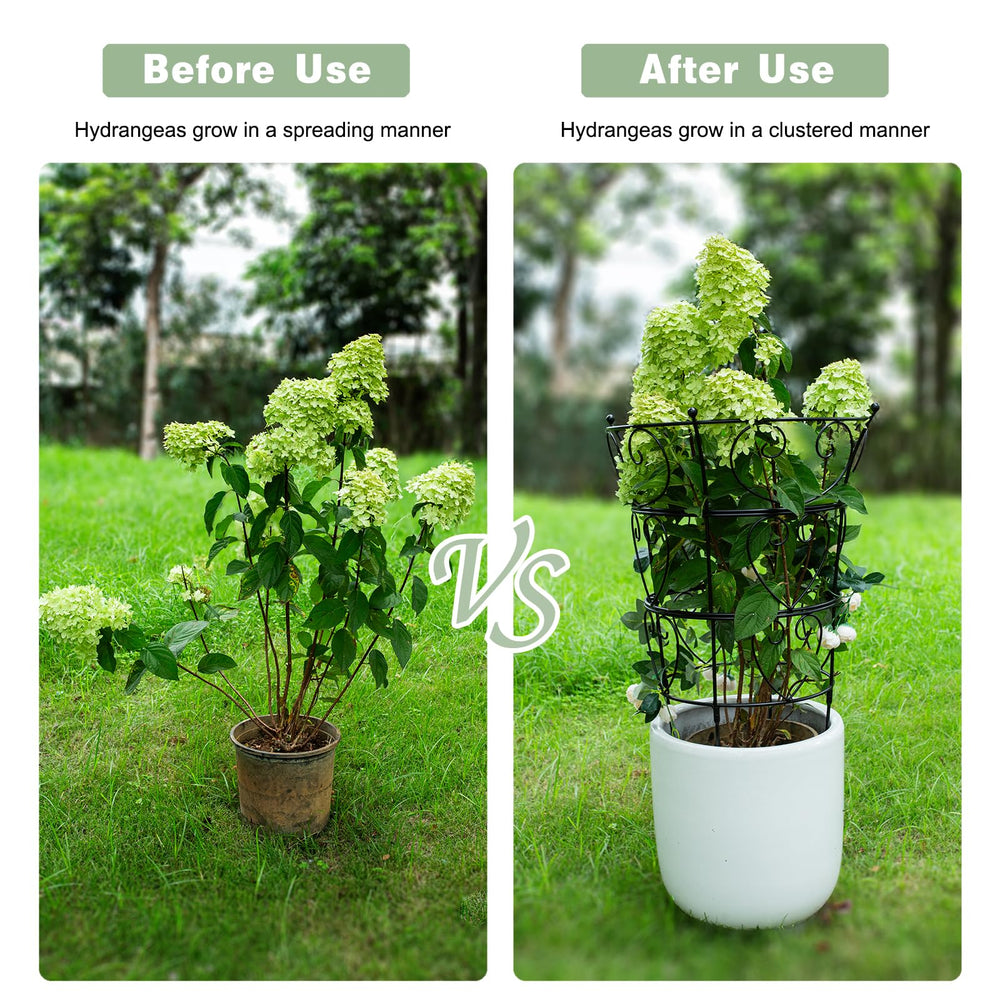 Goooxim inside a planter guiding stems and saving indoor floor space