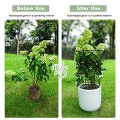 Goooxim inside a planter guiding stems and saving indoor floor space
