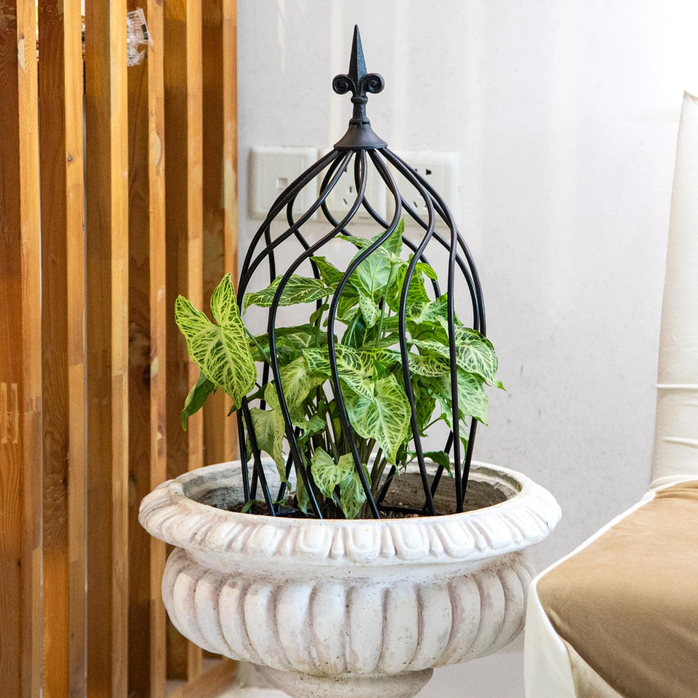 GOOOXIM obelisk installed in a pot showing space-saving vertical gardening