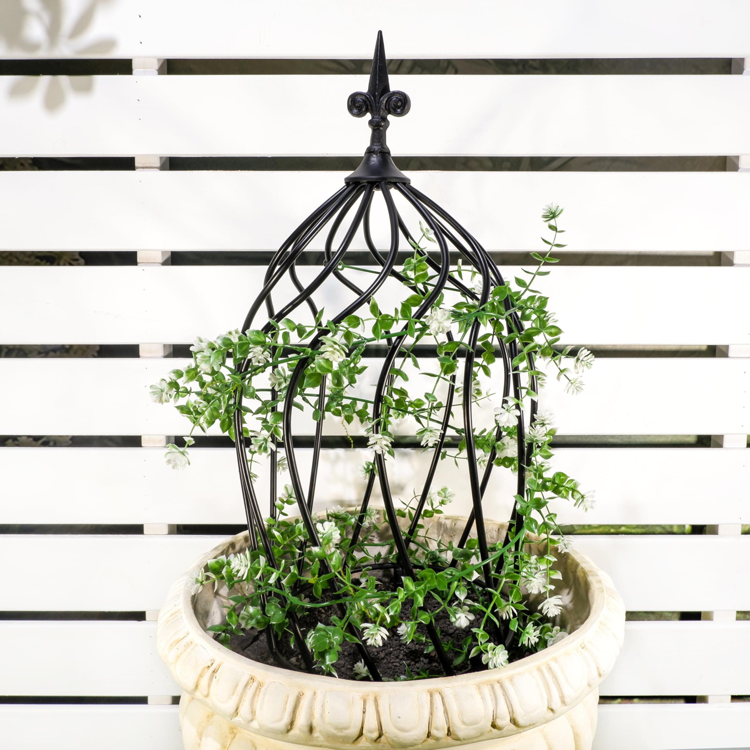 GOOOXIM displayed on balcony with other plants conveying decorative outdoor styling