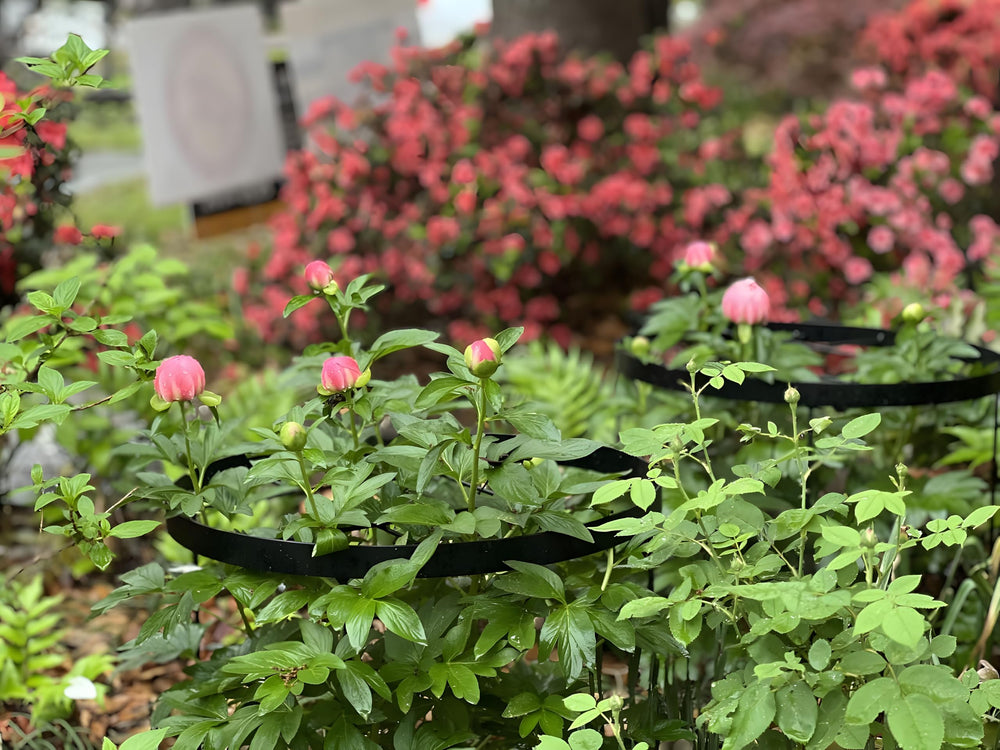 Goooxim top view showing 18.9-inch diameter ring supporting large flower heads