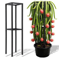 Goooxim trellis front view showing strong frame and sleek silhouette for sturdy plant support
