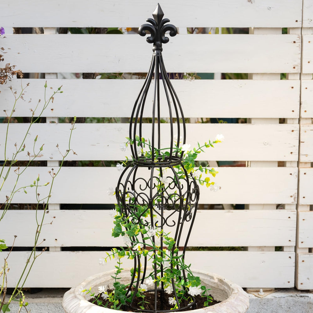 Goooxim trellis front view showing elegant black obelisk and stable support