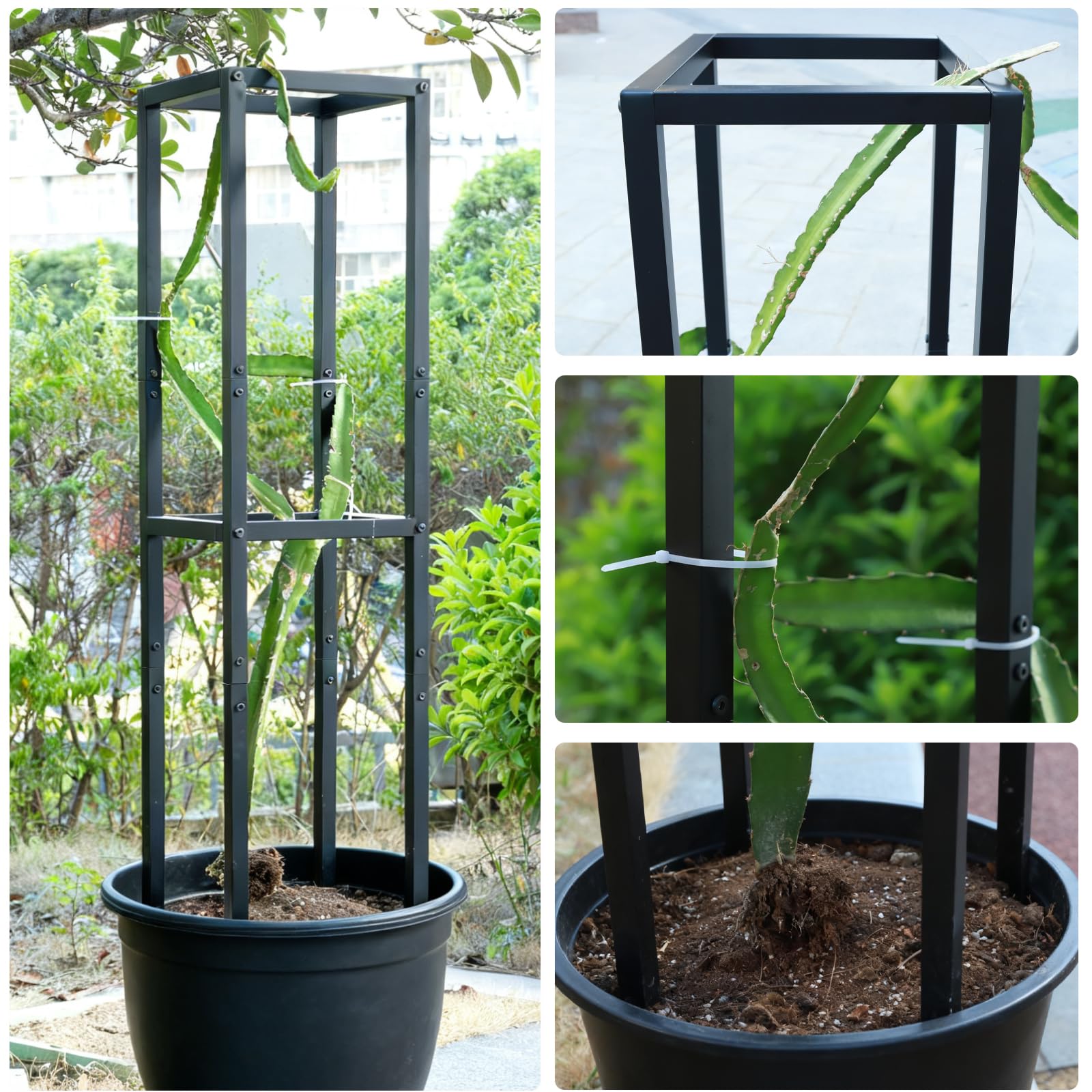 Goooxim trellis placed in a garden bed showing aesthetic integration and vertical gardening benefit