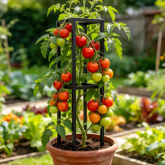 Goooxim trellis installed in a large pot demonstrating upright support and space-saving benefit