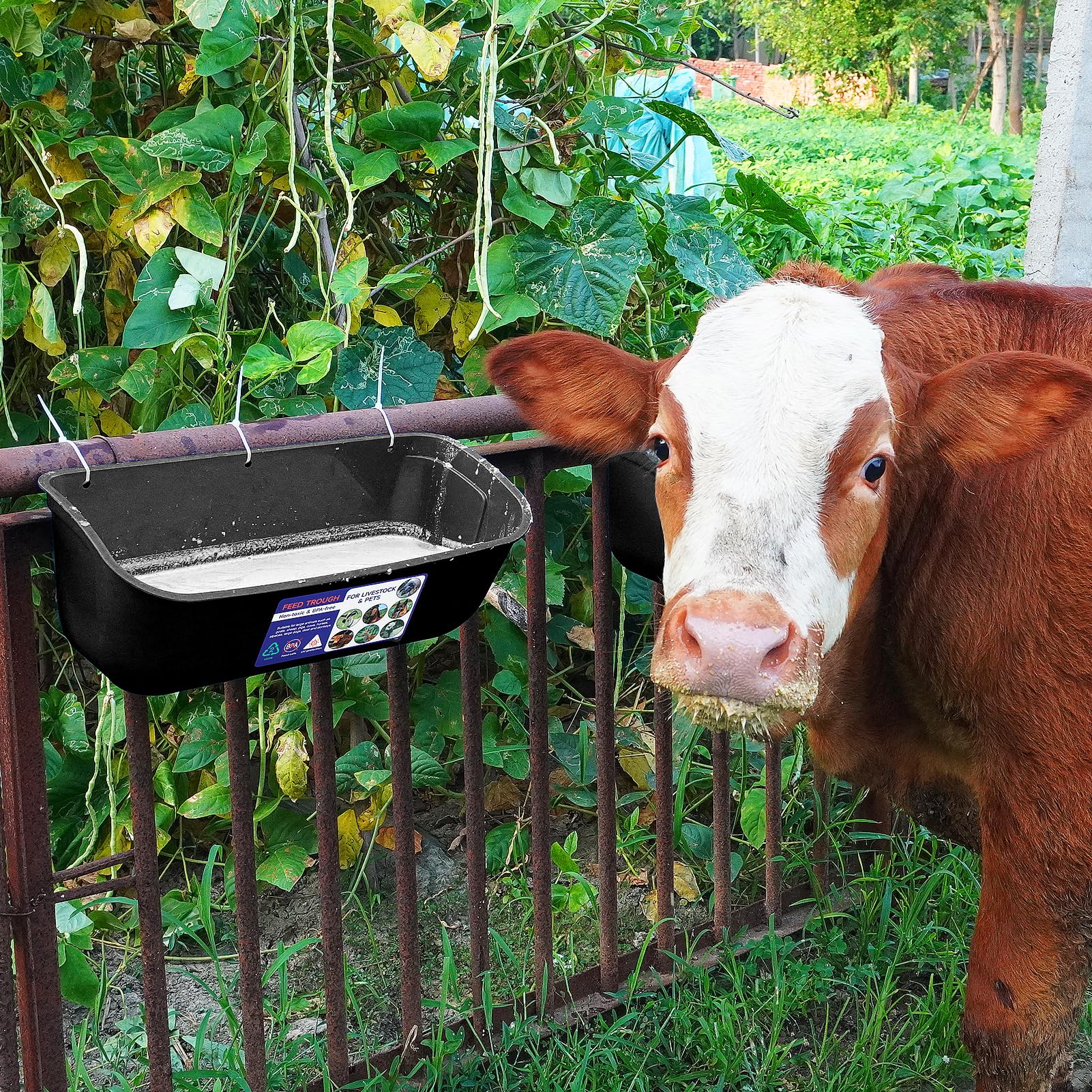 Goovilla lifestyle pen installation showing tidy feeding and reduced waste benefit