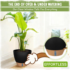 Goproauto lineup of 6, 8, 10, 12 inch pots for scale comparison and quick size selection benefit