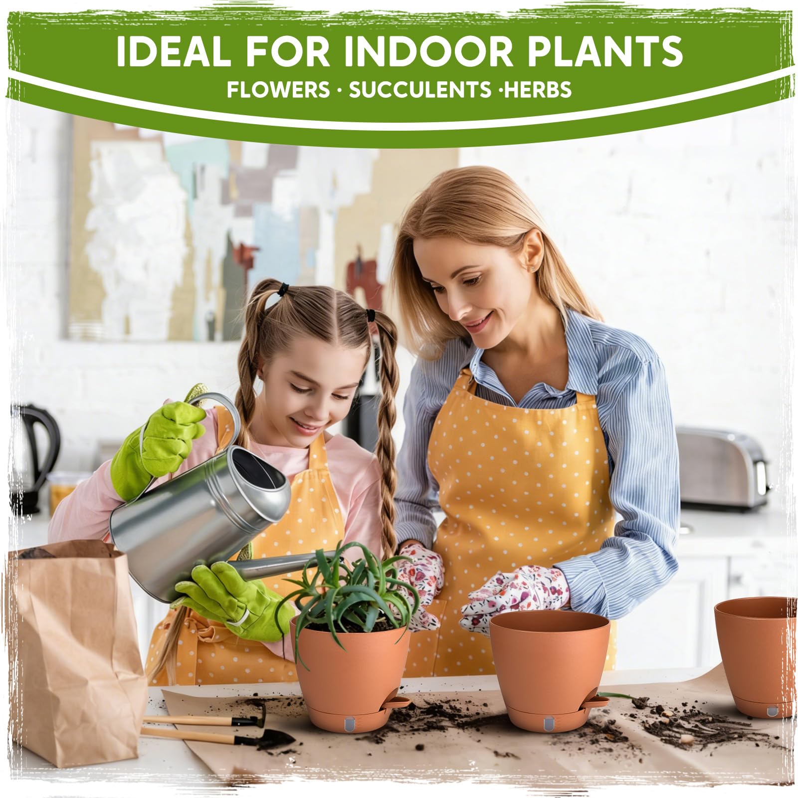 Goproauto 8 inch planter housing a young monstera for healthy growth support