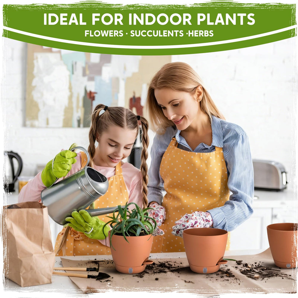 Goproauto 8 inch planter housing a young monstera for healthy growth support