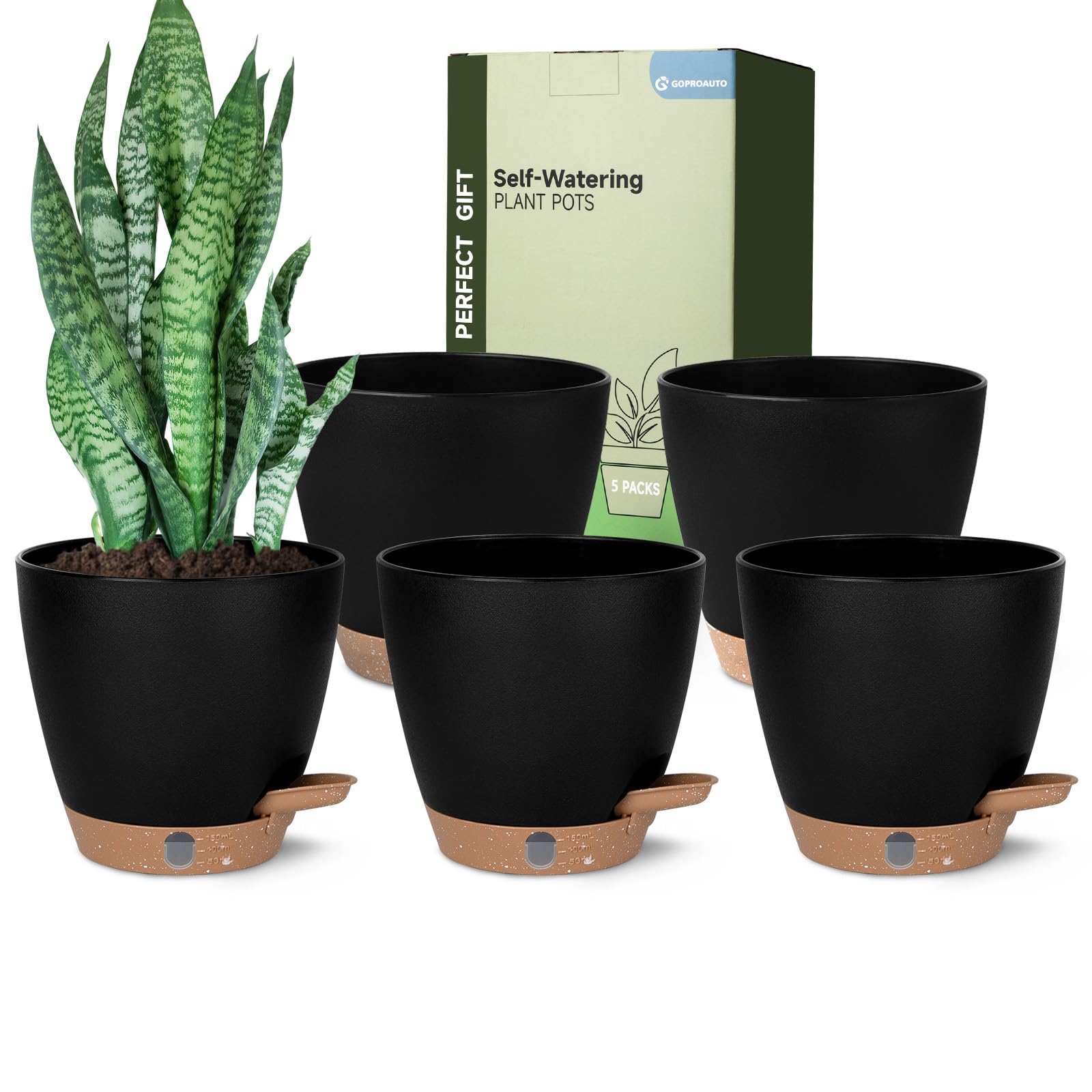 Goproauto front view showing five 6-inch black self-watering planters, neat display benefit
