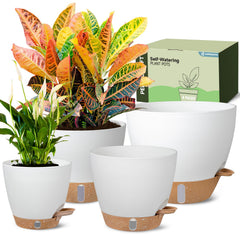 Goproauto front view showing the four self-watering pots and clear benefits
