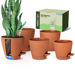Goproauto front view of five pots showing cohesive terracotta set and tidy display