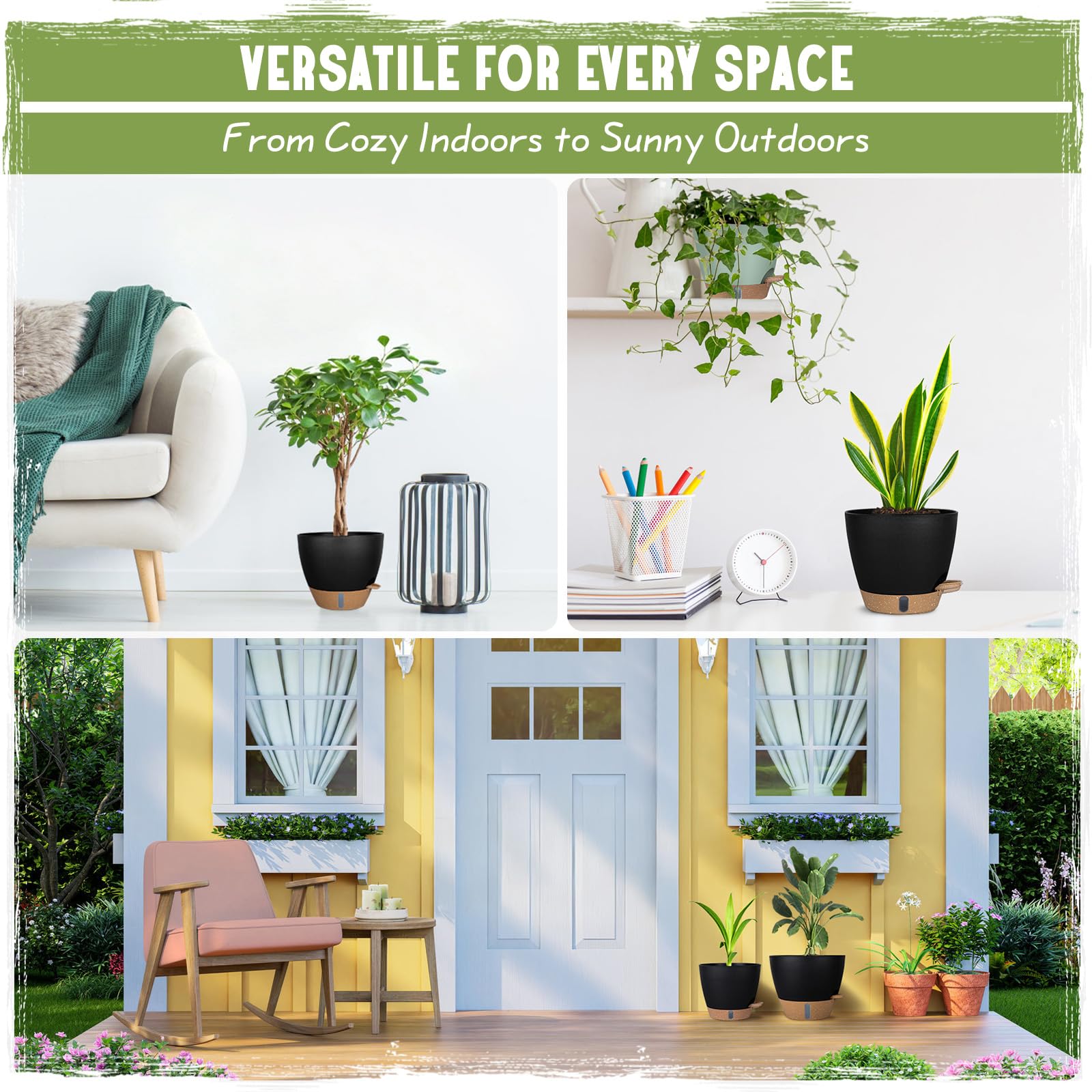 Goproauto lifestyle photo: planters on living room shelf showing decorative appeal and low-maintenance benefit
