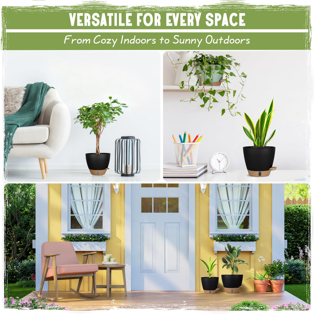 Goproauto lifestyle photo: planters on living room shelf showing decorative appeal and low-maintenance benefit