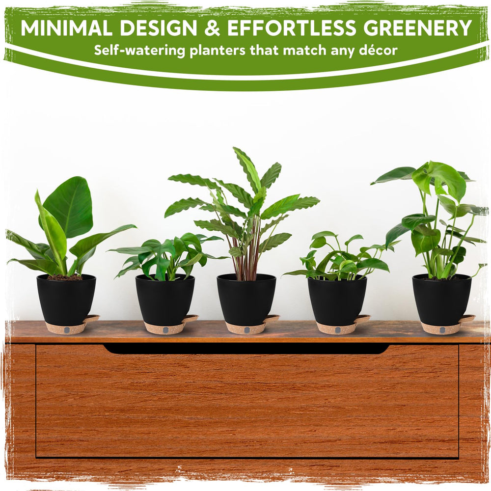 Goproauto planter next to a ruler for scale, shows compact 6-inch size advantage