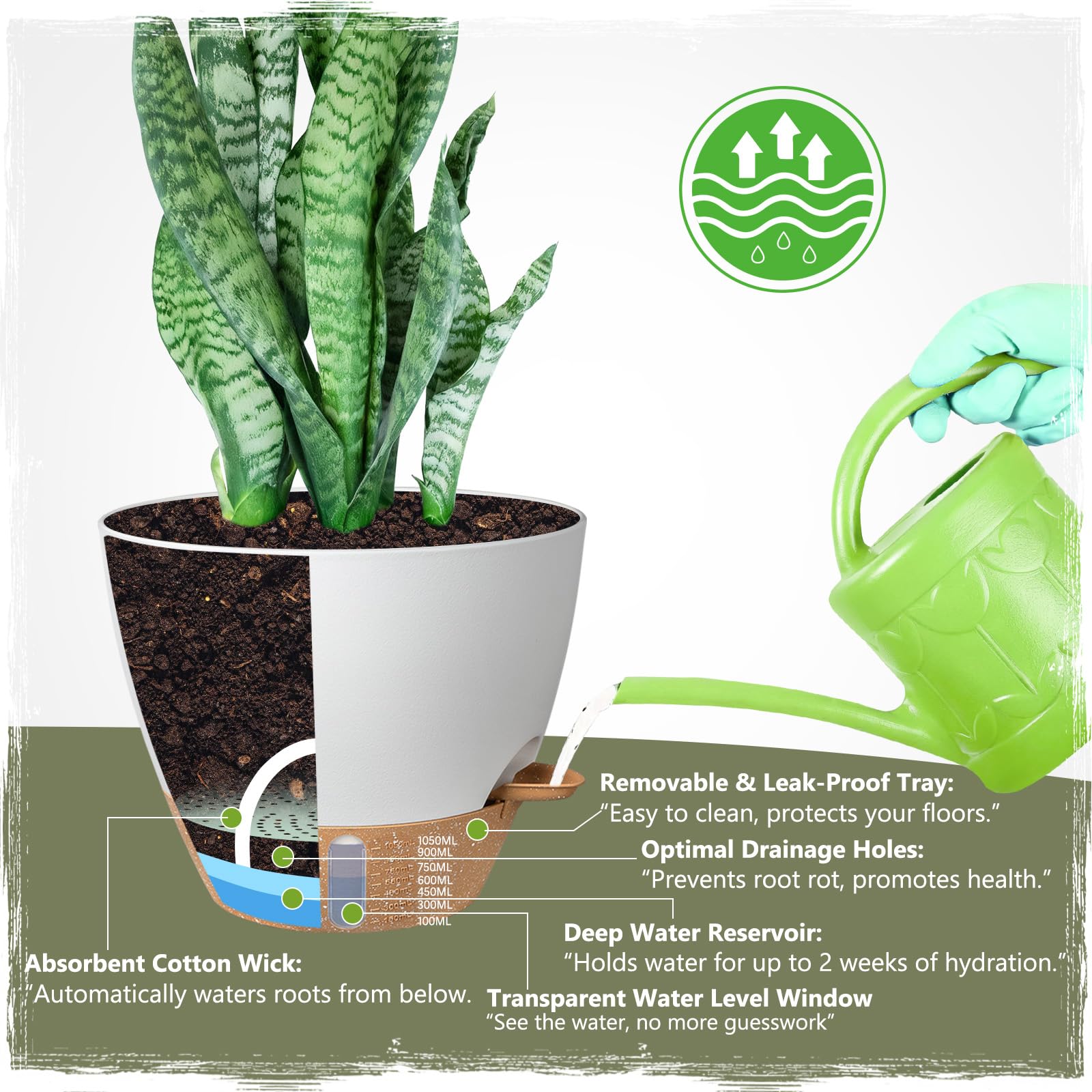 Goproauto visible water-level indicator preventing overwatering and guesswork