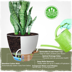 Goproauto visible water-level indicator preventing overwatering and guesswork