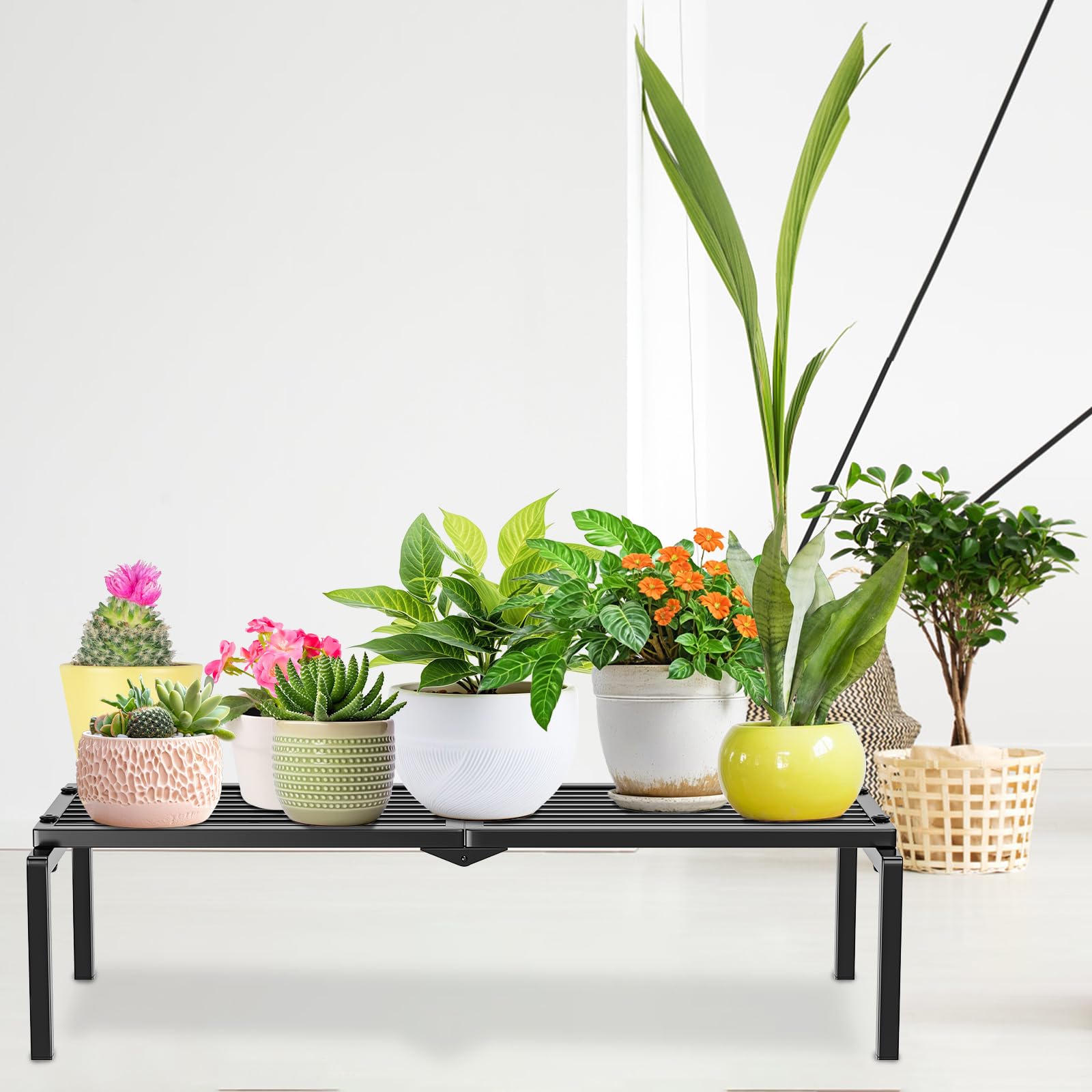 Gouisalin on balcony with flowers demonstrating outdoor display versatility