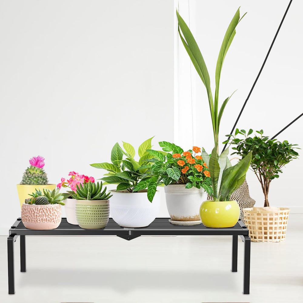Gouisalin on balcony with flowers demonstrating outdoor display versatility
