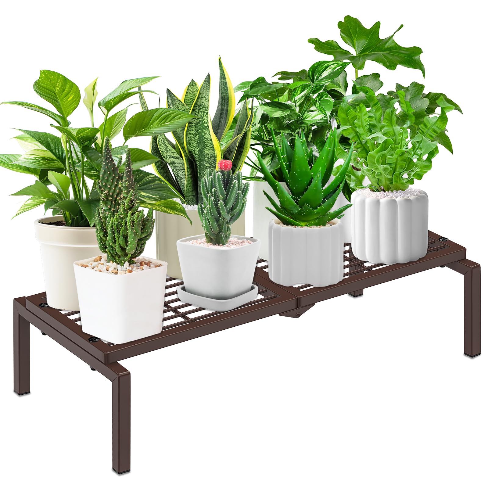 Gouisalin front view showing compact one-tier shelf holding pots, clean display