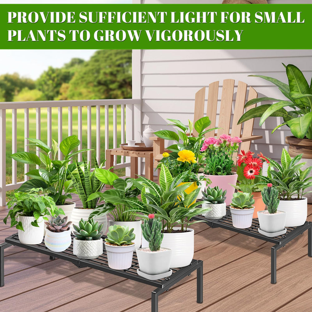 Gouisalin displayed with potted plants in living room adding neat organization