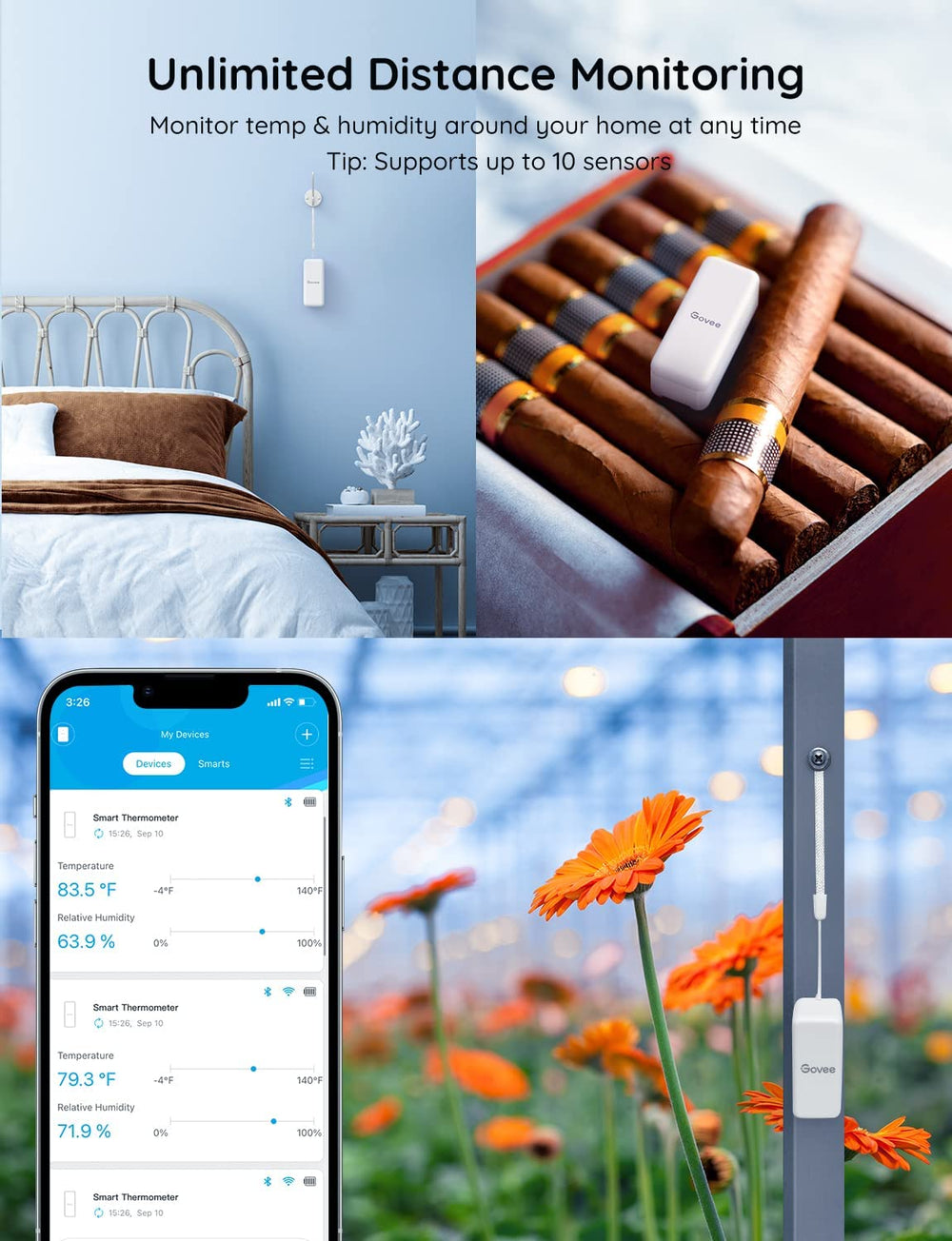 Govee sensor placed inside a wooden humidor, benefit: stable humidity tracking for storage