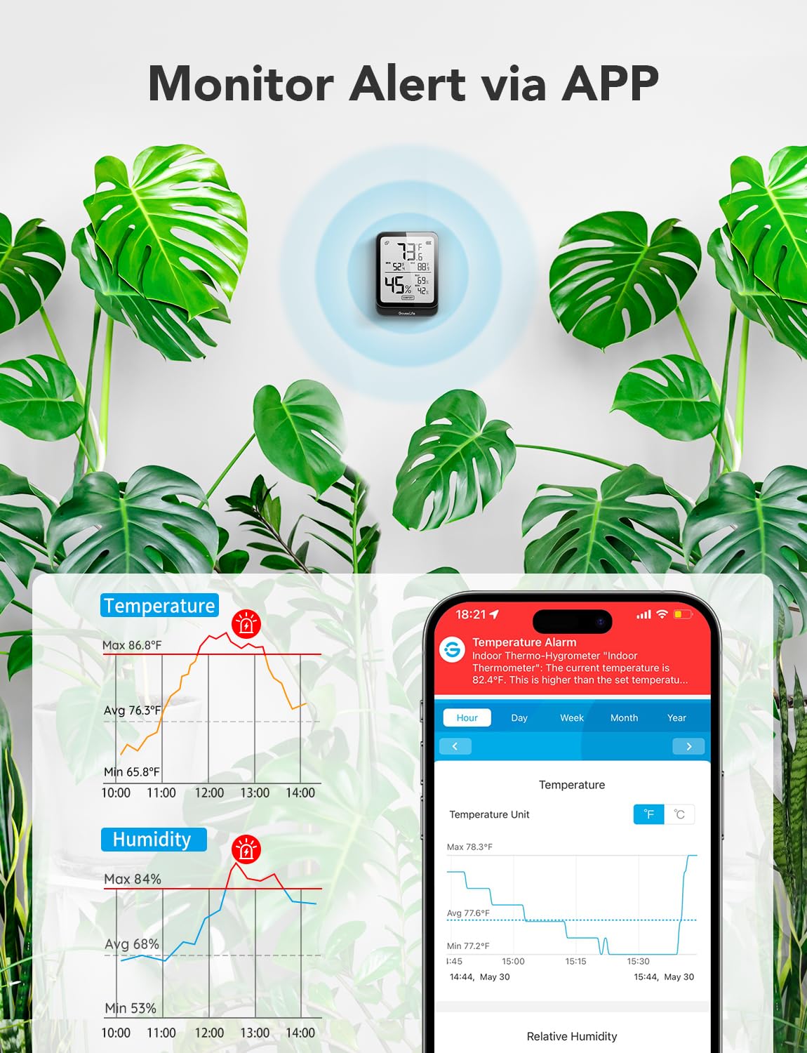 GoveeLife H5104 placed in greenhouse demonstrating environmental tracking for plants