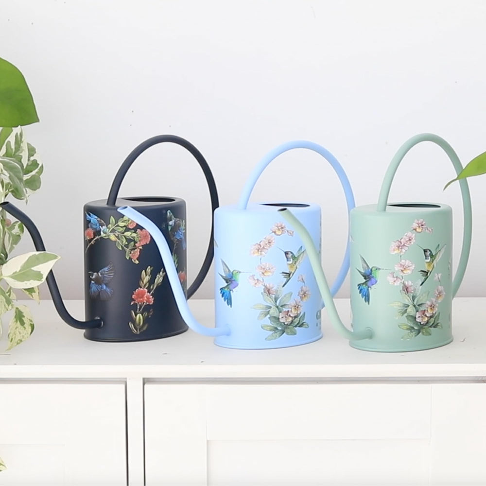 Grace and August watering can and mist bottle on windowsill styling for plant care convenience