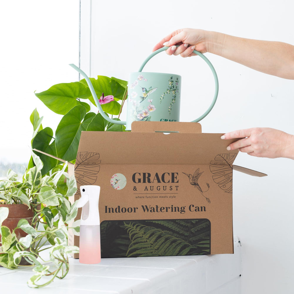 Grace and August fine-mist spray bottle nozzle detail providing gentle leaf hydration