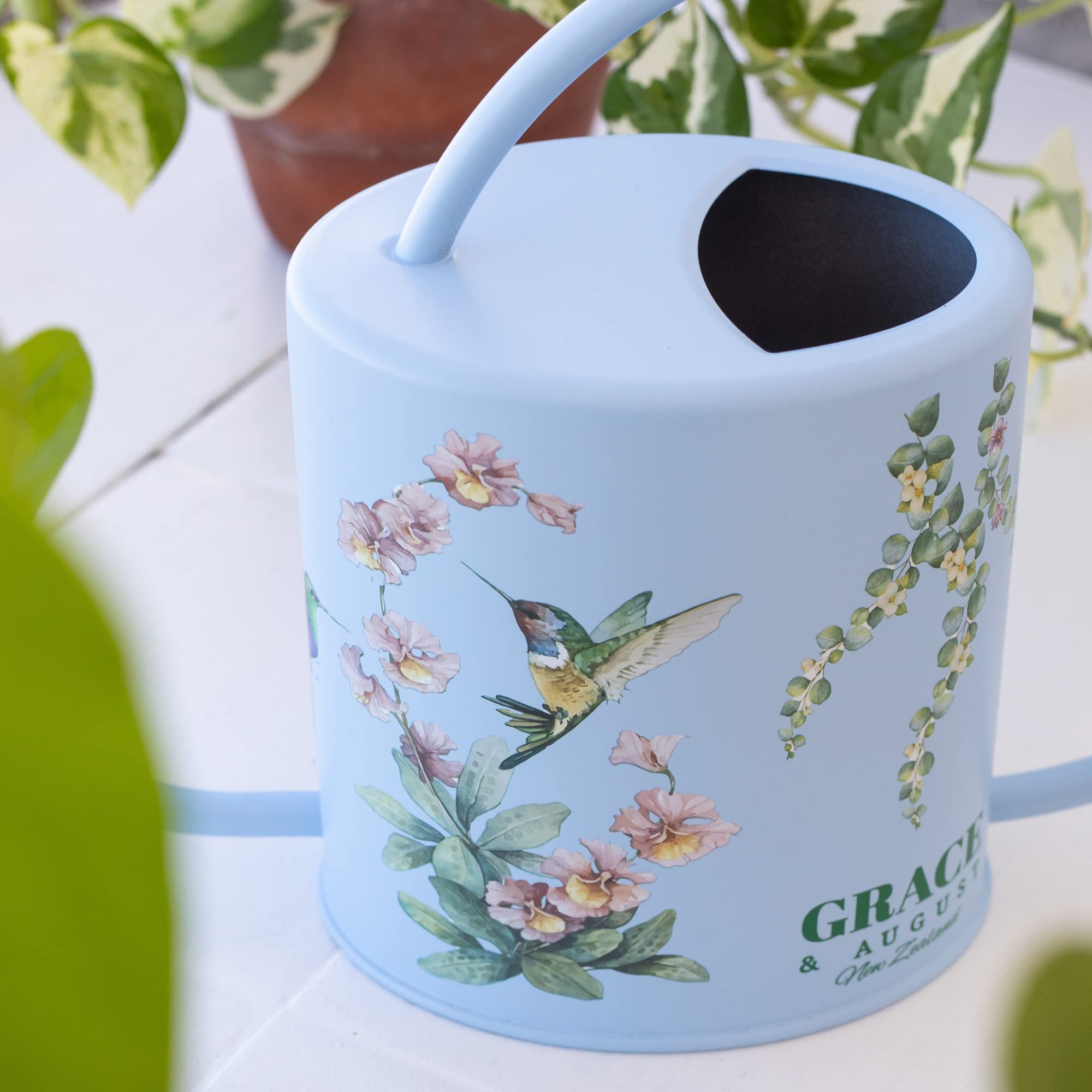 Grace and August spray bottle misting a leaf to increase humidity and refresh foliage
