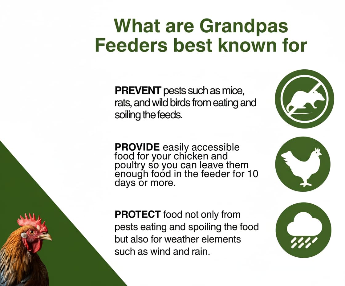 Grandpa's Feeders installed in a coop reducing daily feeding chores