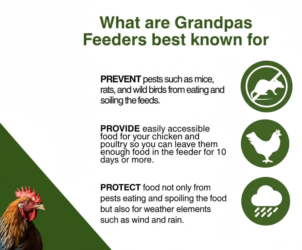 Grandpa's Feeders installed in a coop reducing daily feeding chores