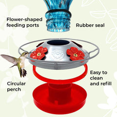Grateful Gnome feeding ports and perch close-up for comfortable bird access