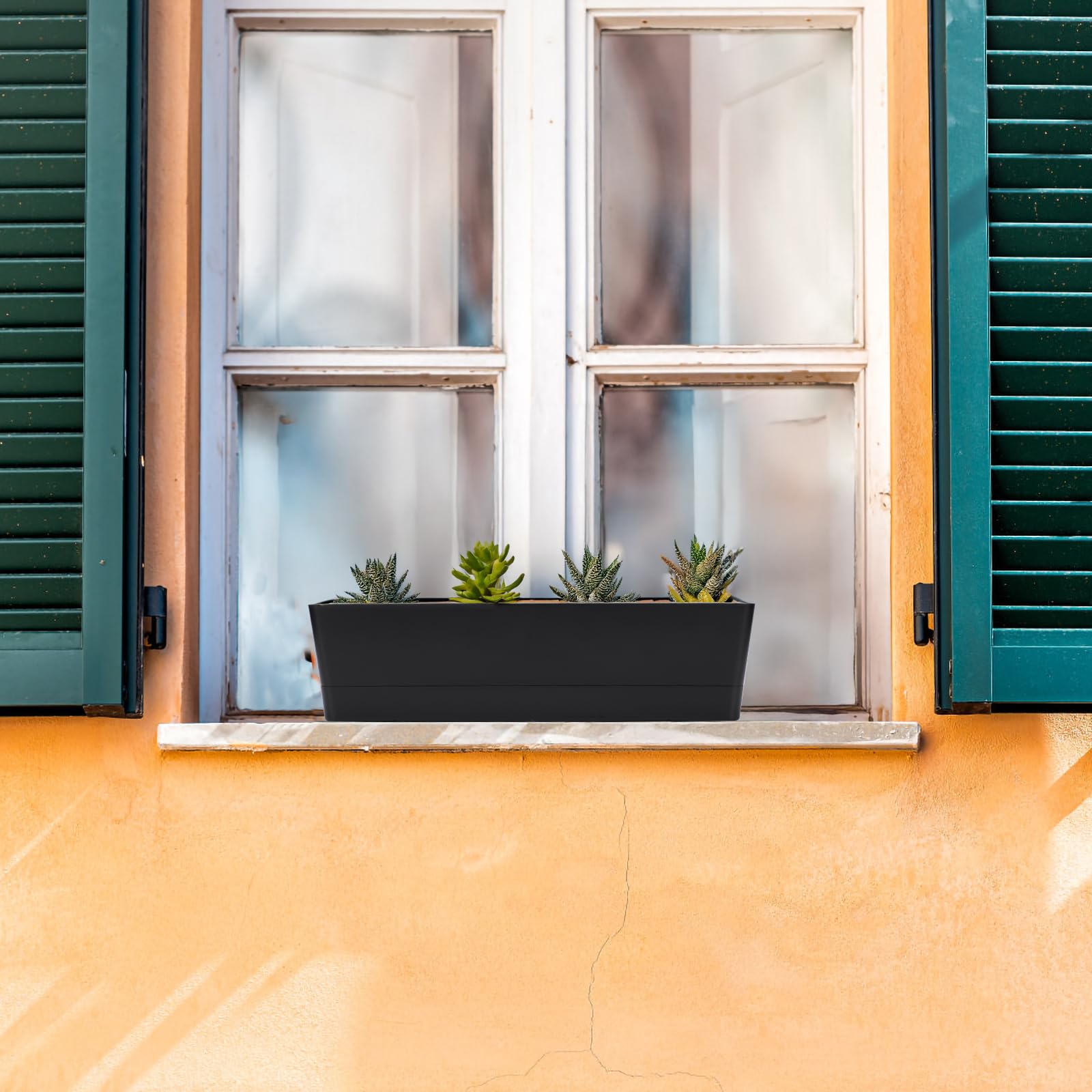 GREANER on a kitchen windowsill planted with herbs for easy harvesting