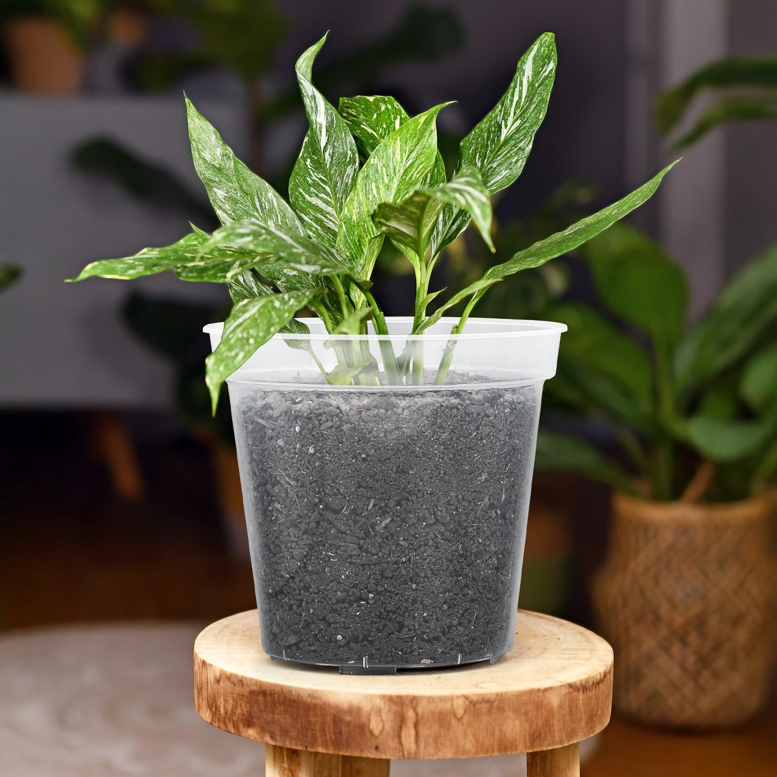 GREANER lifestyle balcony scene showing practical indoor-outdoor gardening benefit