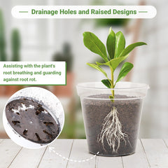 GREANER plant labels close-up for organized tracking and quick ID